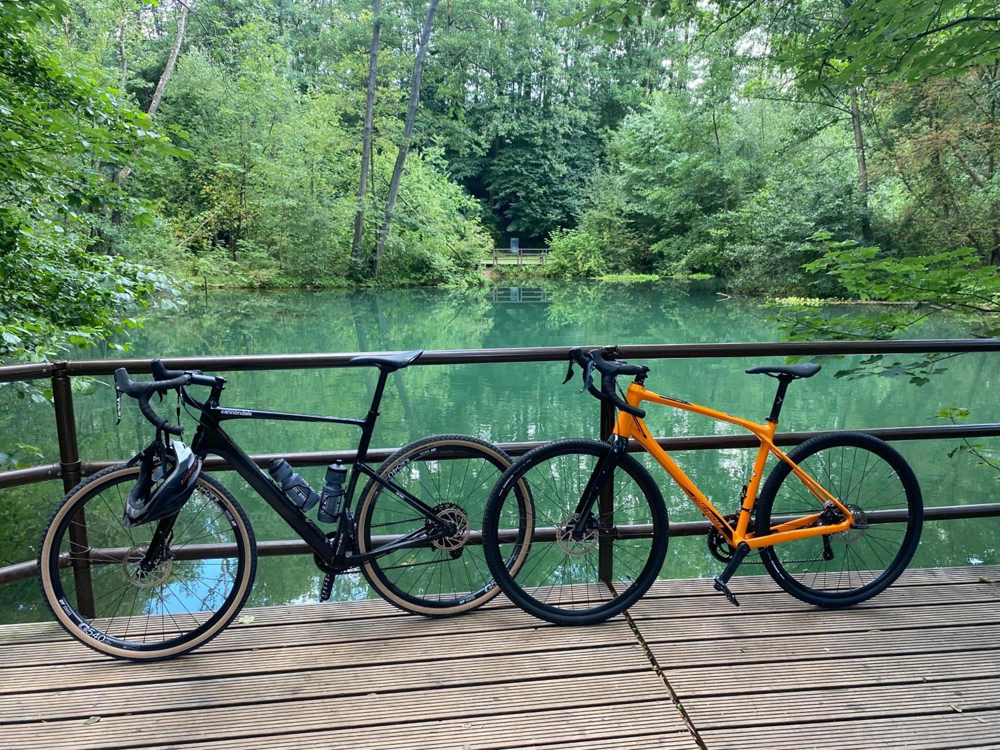 Ferienwohnung Sued - West Harz Mit Sauna E-Bikes Vorhanden! Horden am Harz Dış mekan fotoğraf
